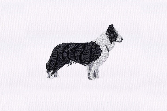 Border Collie Embroidery Reviewed for Real Projects