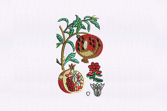 Vines Pomegranate: A Designer's Take on a Fruitful Embroidery Design